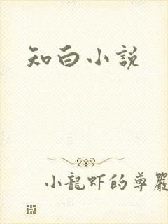 知白小说封面