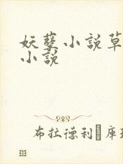 妖孽小说草莓酱小说