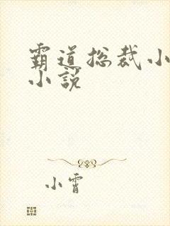 霸道总裁小娇妻小说