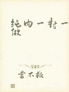 纯肉一对一到处做