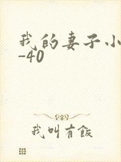 我的妻子小谨1-40