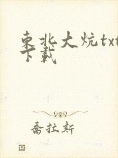 东北大炕txt下载