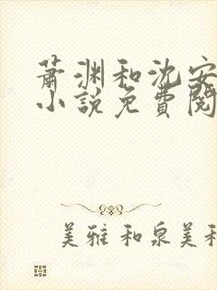 萧渊和沈安安的小说免费阅读封面