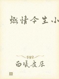 燃情今生小说