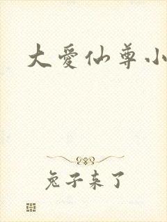 大爱仙尊小说