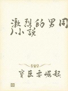 激烈的男同(h)小说