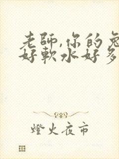 《老师,你的兔子好软水好多》小说封面