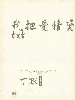 我把爱情煲成汤txt