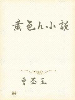 黄色h小说
