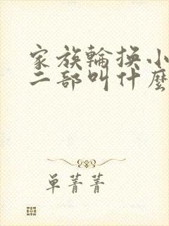家族轮换小说第二部叫什么名字