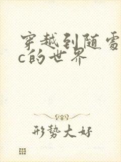 穿越到随处可以c的世界