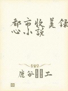 都市收美录宁素心小说