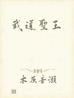 武道圣王