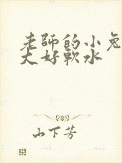 老师的小兔子好大好软水