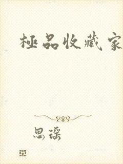 极品收藏家
