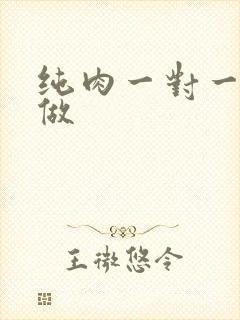 纯肉一对一到处做