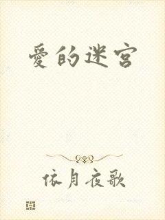 爱的迷宫