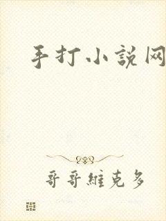 手打小说网