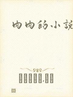 肉肉的小说