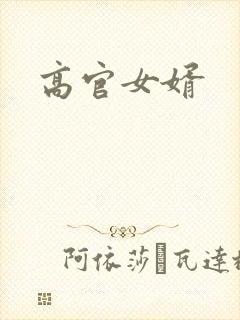 高官女婿
