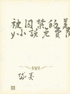 被囚禁的美人by小说免费阅读