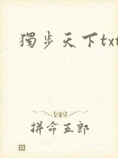 独步天下txt