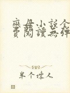 恋母小说全文免费阅读无弹窗笔趣阁封面