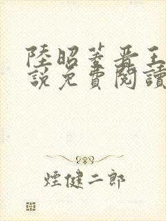 陆昭菱晋王的小说免费阅读