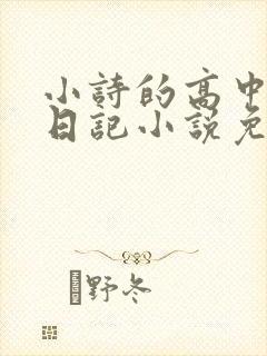 小诗的高中成长日记小说免费阅读
