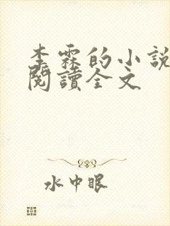 李霖的小说免费阅读全文