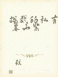 总裁的私有宝贝 暮山紫