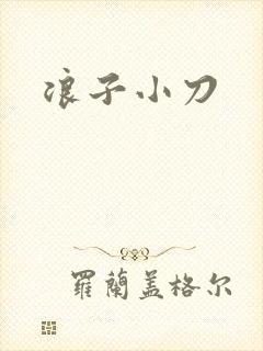 浪子小刀