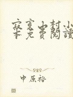 寂寞山村小说全本免费阅读封面