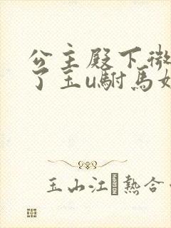 公主殿下微臣馋了玉u驸马姓傅