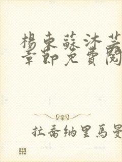 杨东苏沐芸最新章节免费阅读小说封面