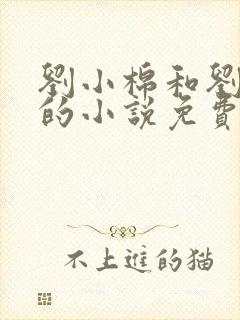 刘小棉和刘易文的小说免费阅读