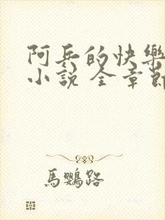 阿兵的快乐生活小说 全章节阅读免费