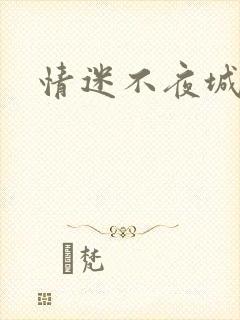 情迷不夜城