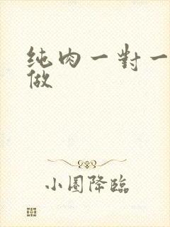 纯肉一对一到处做