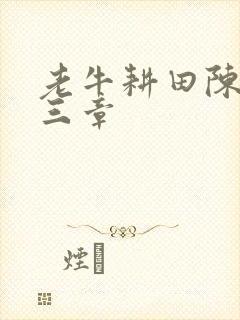 老牛耕田陈雪第三章