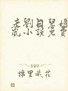 老刘日儿媳妇张岚小说免费阅读