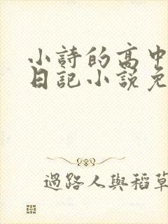 小诗的高中成长日记小说免费阅读