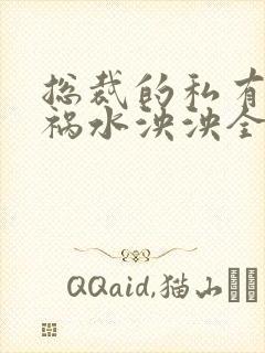 总裁的私有宝贝祸水泱泱全文阅读