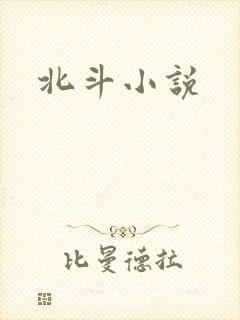 北斗小说