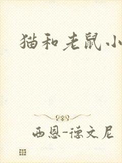 猫和老鼠小说