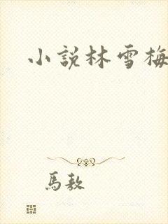 小说林雪梅