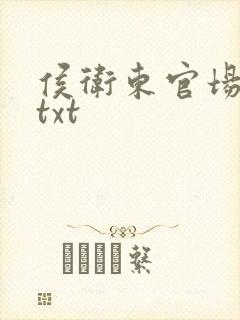 侯卫东官场笔记txt