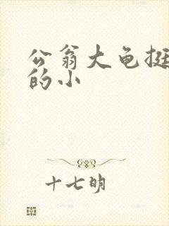 公翁大龟挺进我的小