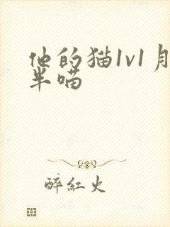 他的猫1v1月半喵