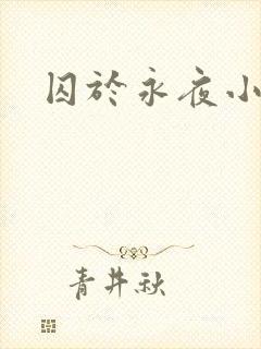 囚于永夜小说